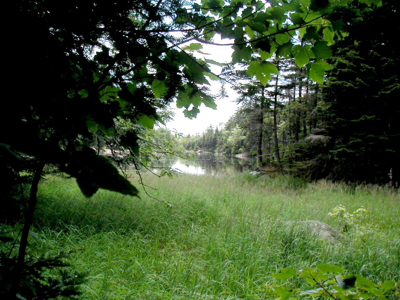 (Photo of Lost Pond)